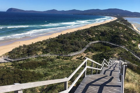 4-Day Fabulous Tasmania Tour: Wineglass Bay, Port Arthur, Devils & Bruny Island - Whitsundays Accommodation 5