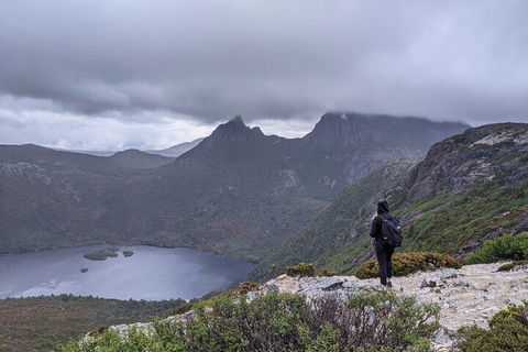 5-Day Best Of Tasmania Tour From Hobart - Whitsundays Accommodation 3