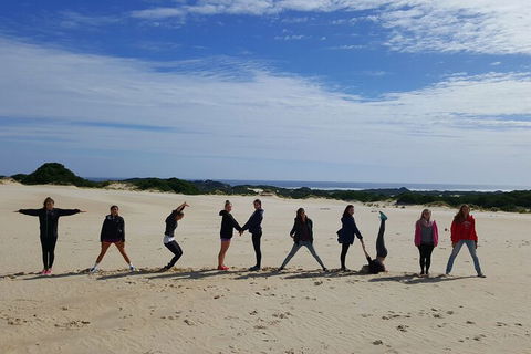 5-Day Best Of Tasmania Tour From Hobart - Whitsundays Accommodation 4