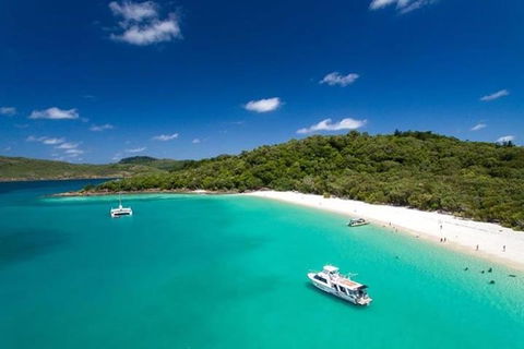Whitehaven Beach And Hill Inlet | Awesome Beach BBQ | Family Friendly - Whitsundays Accommodation 3