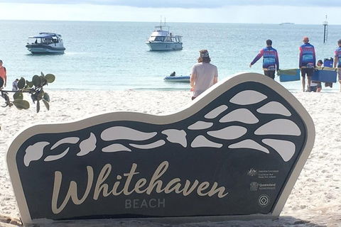 Whitehaven Beach And Hill Inlet | Awesome Beach BBQ | Family Friendly - Whitsundays Accommodation 5