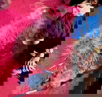 Alice Springs Desert Park General Entry Ticket - Whitsundays Accommodation