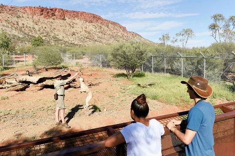 Alice Springs Desert Park General Entry Ticket - Whitsundays Accommodation 4