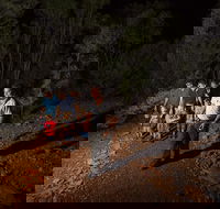 Alice Springs Desert Park Nocturnal Tour - Whitsundays Accommodation