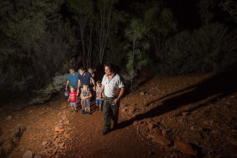 Alice Springs Desert Park Nocturnal Tour - Whitsundays Accommodation 0