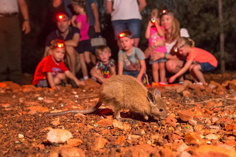 Alice Springs Desert Park Nocturnal Tour - Whitsundays Accommodation 1