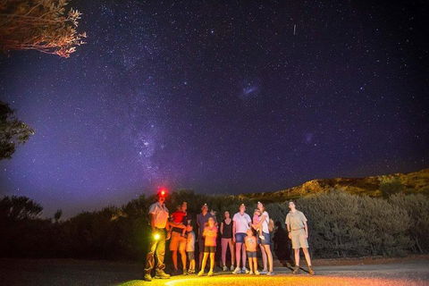 Alice Springs Desert Park Nocturnal Tour - Whitsundays Accommodation 2