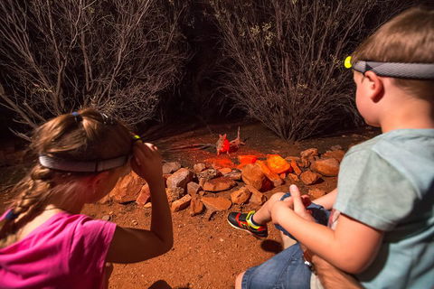 Alice Springs Desert Park Nocturnal Tour - Whitsundays Accommodation 4