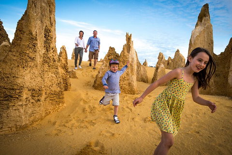 Full-Day Pinnacles Desert And Yanchep National Park Tour From Perth - Whitsundays Accommodation 0