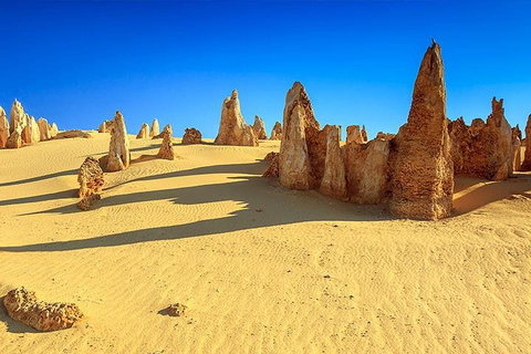 Full-Day Pinnacles Desert And Yanchep National Park Tour From Perth - Whitsundays Accommodation 2