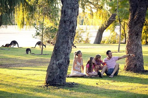 Full-Day Pinnacles Desert And Yanchep National Park Tour From Perth - Whitsundays Accommodation 3
