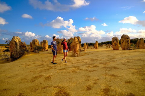 Full-Day Pinnacles Desert And Yanchep National Park Tour From Perth - Whitsundays Accommodation 4