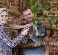 Private Tour Blue Mountains Day Trip from Sydney - Whitsundays Accommodation