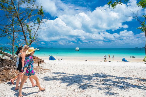 Whitehaven Beach Half-Day Cruises - Whitsundays Accommodation 1