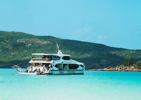 Whitehaven Beach Half-Day Cruises - Whitsundays Accommodation 5