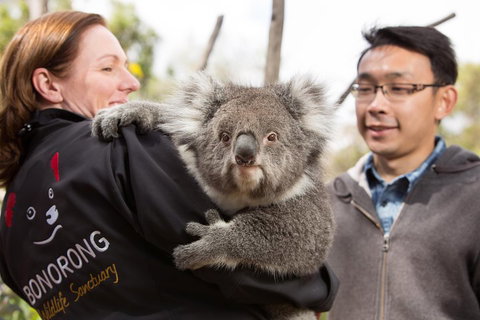 Bonorong Wildlife Park And Richmond Afternoon Tour From Hobart - Whitsundays Accommodation 0