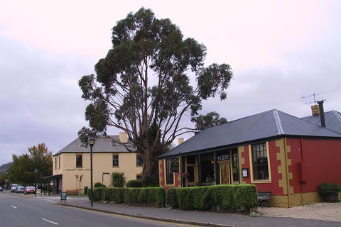 Bonorong Wildlife Park And Richmond Afternoon Tour From Hobart - Whitsundays Accommodation 3