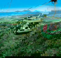 Kuranda Rainforest station Scenic railway and Skyrail tour - Whitsundays Accommodation