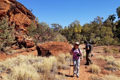 Palm Valley And Hermannsburg 1 Day 4WD Tour - Whitsundays Accommodation 1