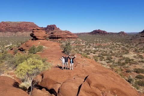 Palm Valley And Hermannsburg 1 Day 4WD Tour - Whitsundays Accommodation 3