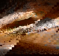 Windjana Explorer - Whitsundays Accommodation