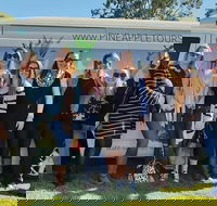 Full Day Mount Tamborine Winery Tour from Gold Coast - Whitsundays Accommodation