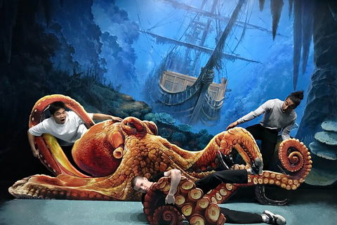 ArtVo Immersive Gallery Experience - Whitsundays Accommodation 4