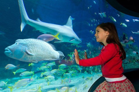 SEA LIFE Melbourne Aquarium Admission Ticket - Whitsundays Accommodation 1