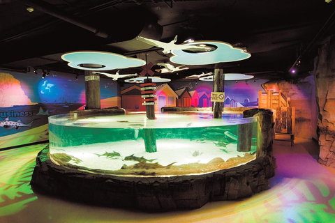 SEA LIFE Melbourne Aquarium Admission Ticket - Whitsundays Accommodation 5