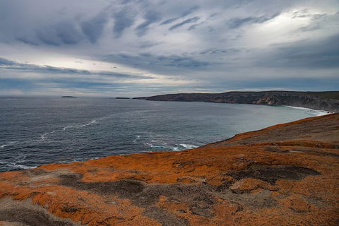 Kangaroo Island Luxury Small Group 'Flinders Chase Focus' Full Day Tour - Whitsundays Accommodation 0
