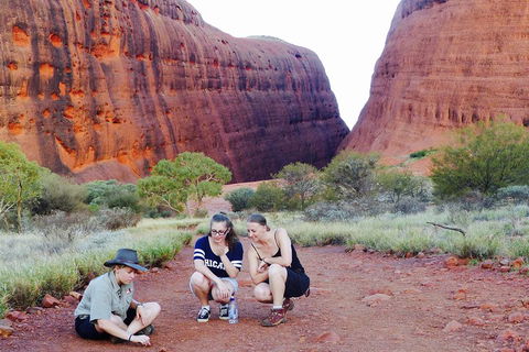 Afternoon Kata Tjuta Small Group Tour - Whitsundays Accommodation 2