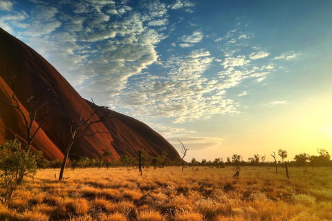 Highlights Of Uluru Including Sunrise And Breakfast - Whitsundays Accommodation 0
