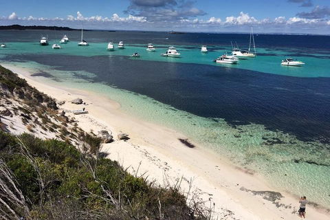 Experience Rottnest With Ferry & Bike Hire From Perth Or Fremantle - Whitsundays Accommodation 0