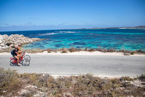 Experience Rottnest With Ferry & Bike Hire From Perth Or Fremantle - Whitsundays Accommodation 2
