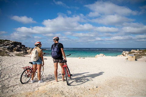 Experience Rottnest With Ferry & Bike Hire From Perth Or Fremantle - Whitsundays Accommodation 5