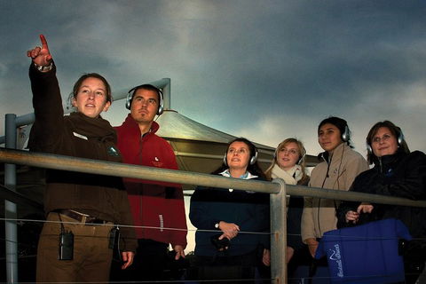 Phillip Island Penguin Parade Express Tour From Melbourne - Whitsundays Accommodation 1