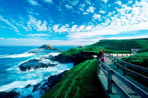 Phillip Island Penguin Parade Express Tour From Melbourne - Whitsundays Accommodation 4