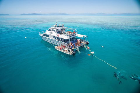 Ocean Freedom Great Barrier Reef Personal Luxury Snorkel & Dive Cruise, Cairns - Whitsundays Accommodation 0