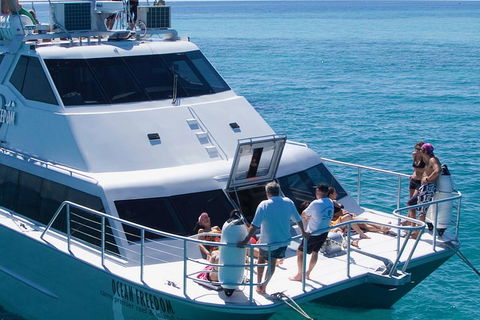 Ocean Freedom Great Barrier Reef Personal Luxury Snorkel & Dive Cruise, Cairns - Whitsundays Accommodation 1