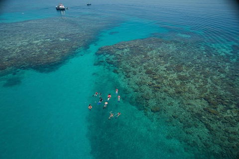 Ocean Freedom Great Barrier Reef Personal Luxury Snorkel & Dive Cruise, Cairns - Whitsundays Accommodation 3