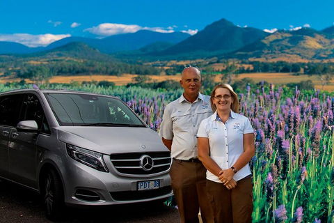 Brisbane Day In The Country Full-Day Small-Group Tour With Lunch - Whitsundays Accommodation 4