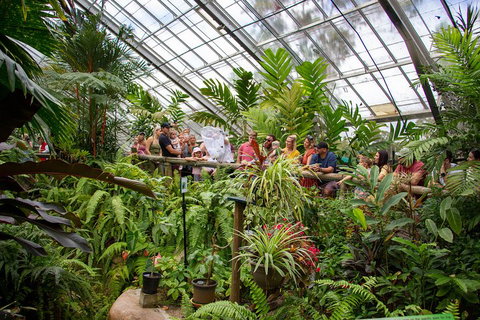 Australian Butterfly Sanctuary - Whitsundays Accommodation 0