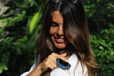 Australian Butterfly Sanctuary - Whitsundays Accommodation 2