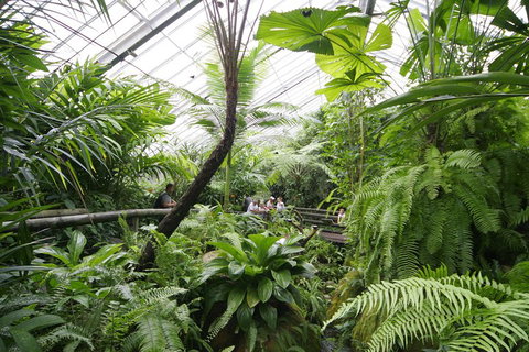 Australian Butterfly Sanctuary - Whitsundays Accommodation 3