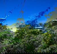 Classic Kuranda by Skyrail and Scenic Railway Including Rainforestation Koala and Wildlife Park and Pamagirri Aboriginal Experi - Whitsundays Accommodation