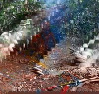 Kuranda Highlights including Rainforestation Aboriginal Culture and Wildlife - Whitsundays Accommodation