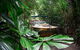 Kuranda Village, Army Duck Tour With Train And Skyrail (KDB) - thumb 5
