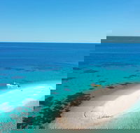 Ocean Safari Great Barrier Reef Experience in Cape Tribulation - Whitsundays Accommodation