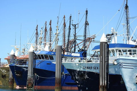 One Day Port Lincoln Tour - Tasting Eyre - Whitsundays Accommodation 0