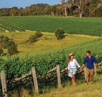 10 Day Perth to Adelaide Private Tour - The Great Australian Wilderness Journey - Whitsundays Accommodation